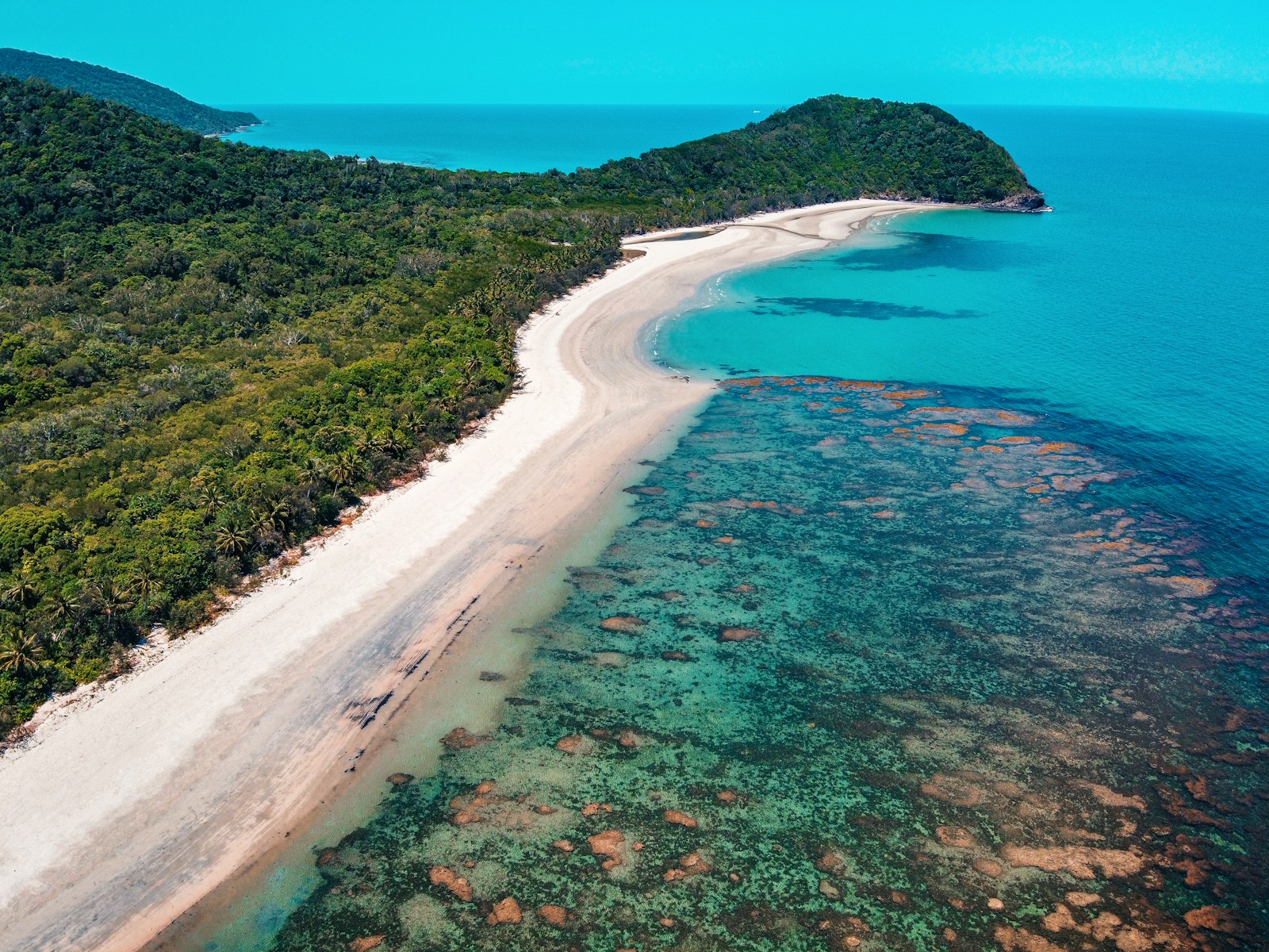 Cape Tribulation tropical coast — learn Mandarin in Cairns with WillyChina