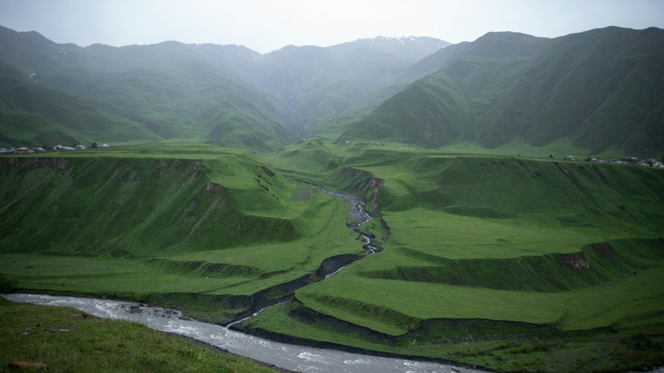 Wuyi Mountains tea country in Fujian — rolling tea fields and karst hills, home of Wuyi rock tea and Tieguanyin oolong