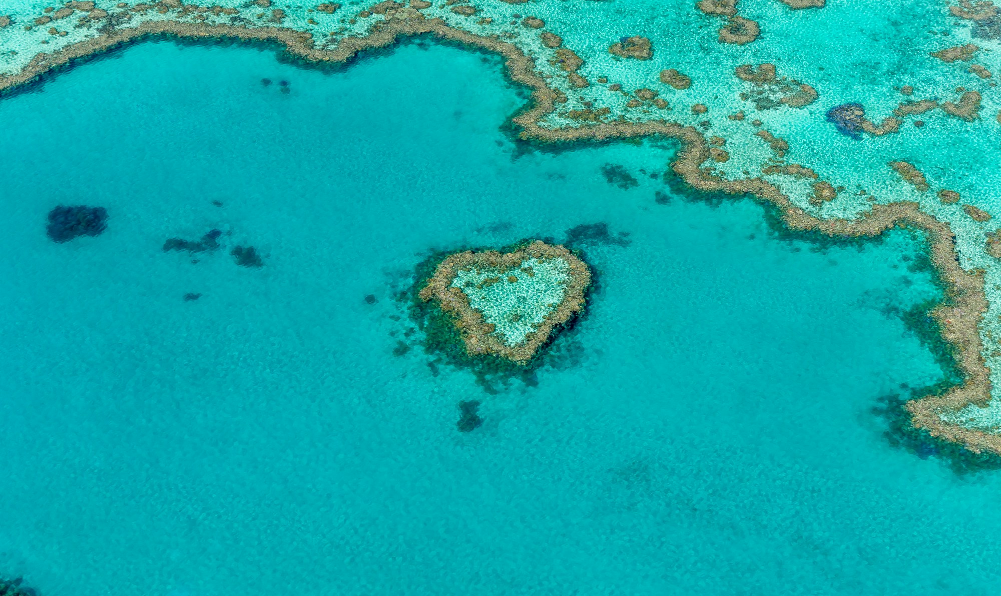 Aerial view of the Whitsundays, Queensland — learn Mandarin online in Queensland with WillyChina