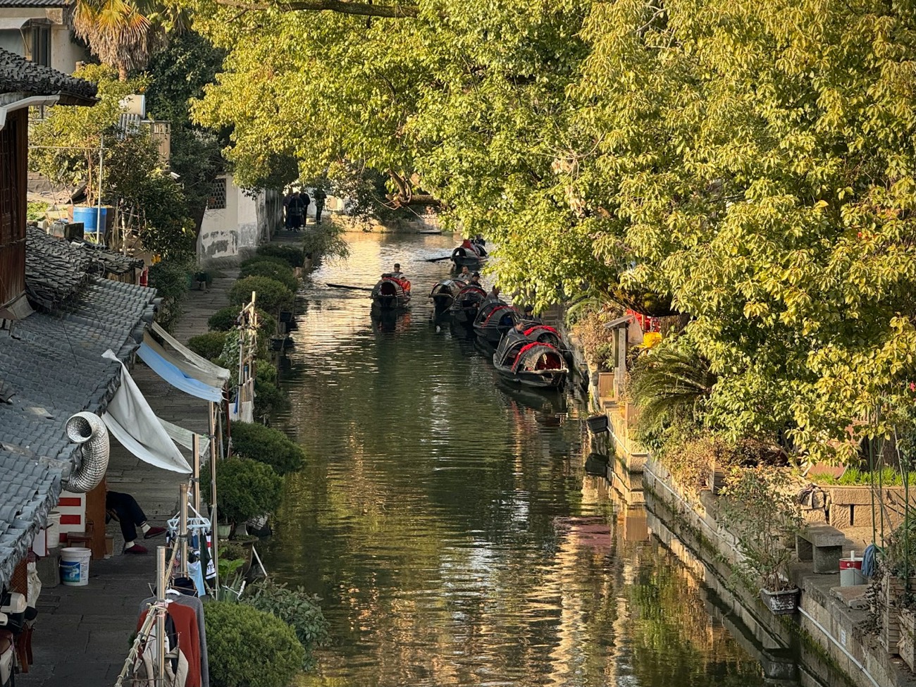 Boats on a tree-lined canal in Shaoxing old town