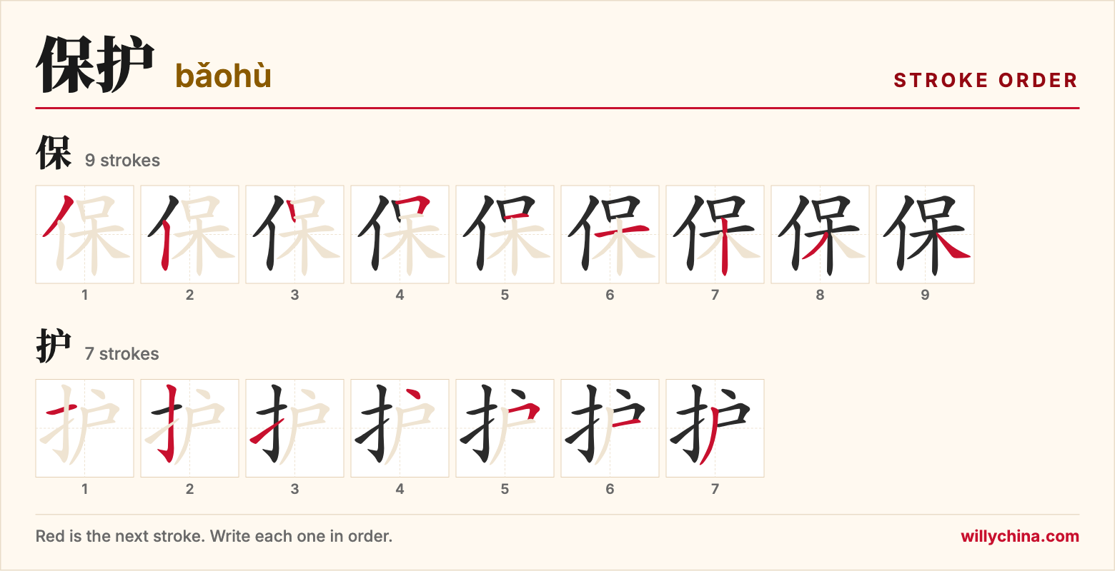 保护 (bǎohù) stroke order chart: each stroke of the characters in the order you write them