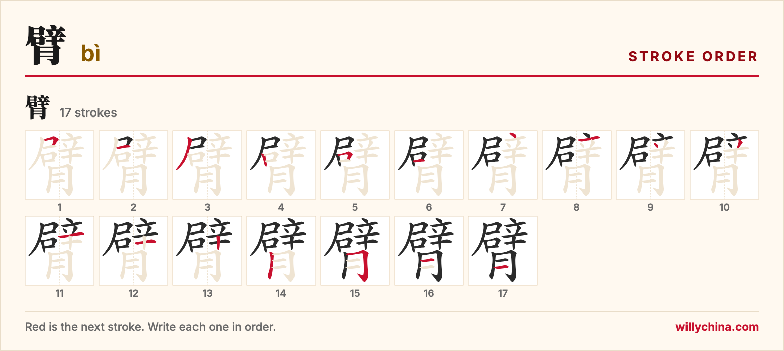 臂 (bì) stroke order chart: each stroke of the character in the order you write it