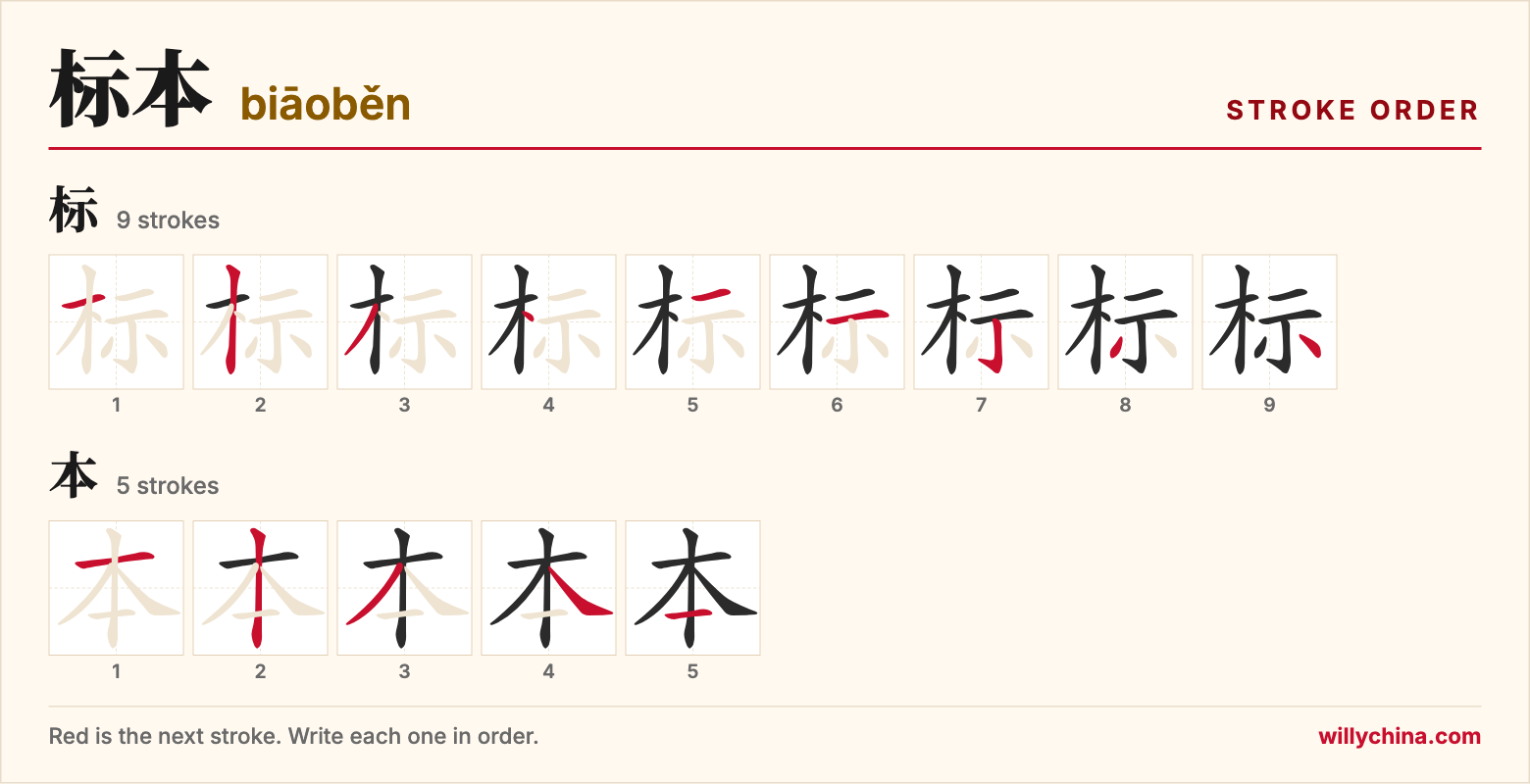 标本 (biāoběn) stroke order chart: each stroke of the characters in the order you write them