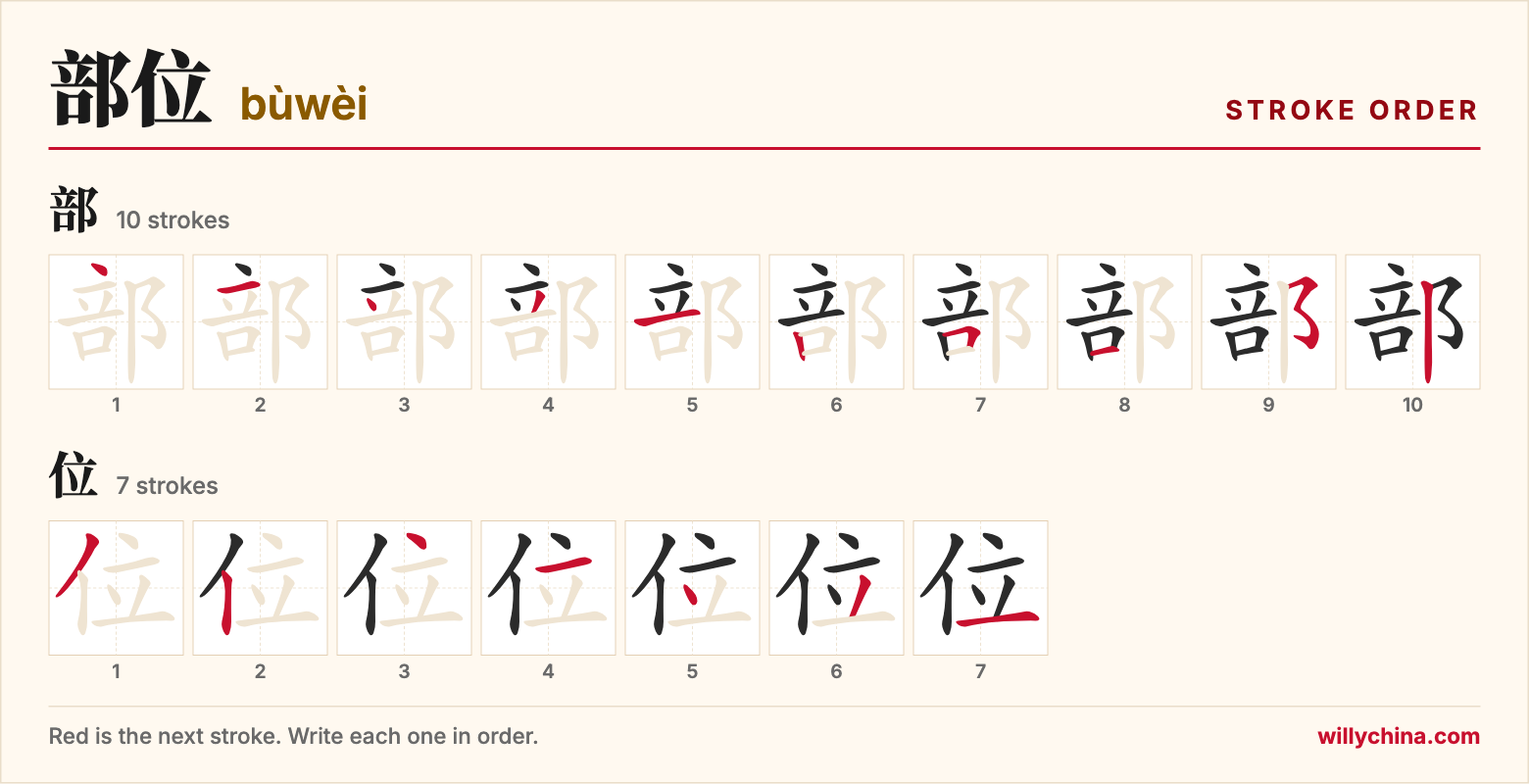 部位 (bùwèi) stroke order chart: each stroke of the characters in the order you write them