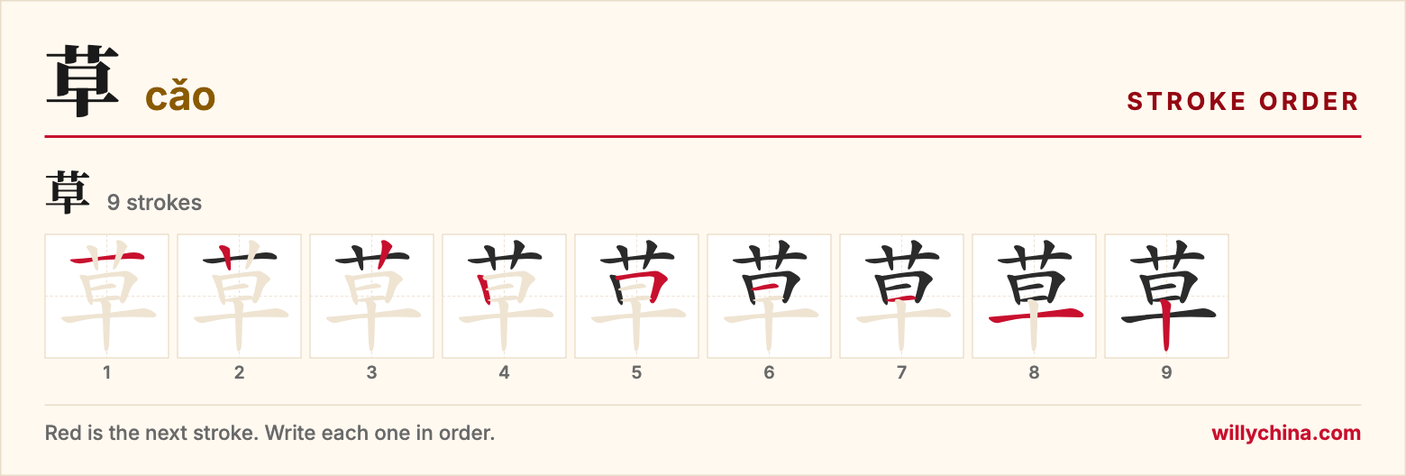 草 (cǎo) stroke order chart: each stroke of the character in the order you write it