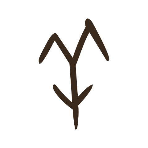 Oracle bone form of 羊: two horns curving down above a simple face