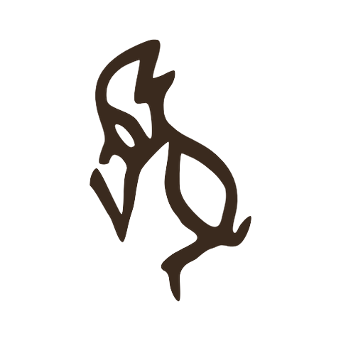 Oracle bone drawing of a crouching monkey in profile, head raised and one arm reaching forward, usually read as the older monkey word 夒