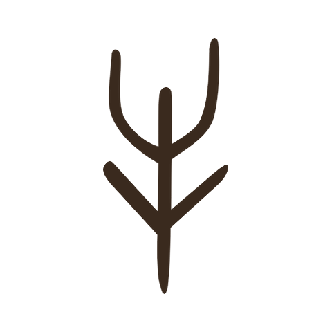 Oracle bone form of 牛: an ox's head seen from the front, with two upturned horns and two slanting ears