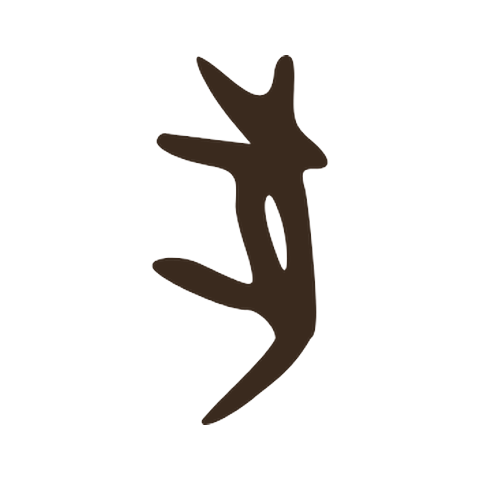 Oracle bone form of 豕, the original pig character: the animal drawn upright on its tail, with its legs reaching out to the left