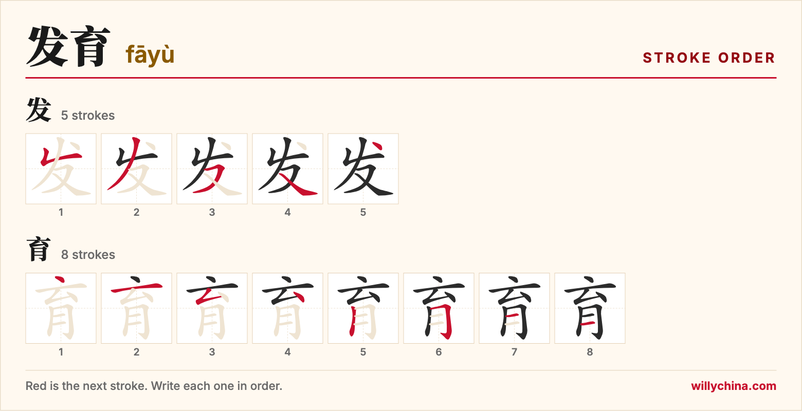 发育 (fāyù) stroke order chart: each stroke of the characters in the order you write them