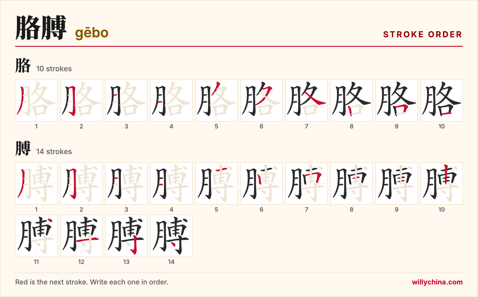 胳膊 (gēbo) stroke order chart: each stroke of the characters in the order you write them