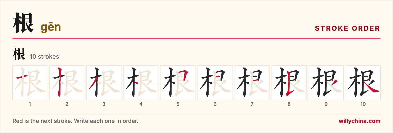 根 (gēn) stroke order chart: each stroke of the character in the order you write it