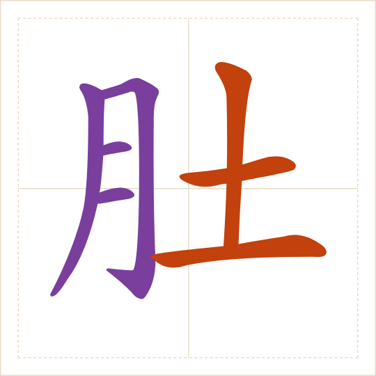 The character 肚 (dù) with each of its parts in a different colour