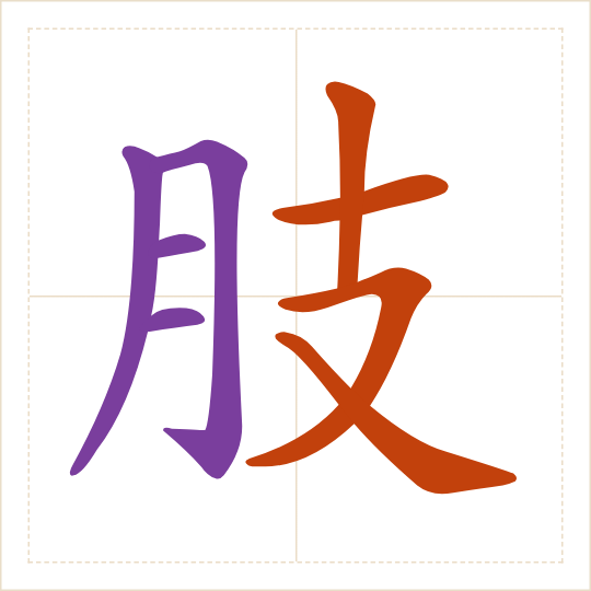 The character 肢 (zhī) with each of its parts in a different colour
