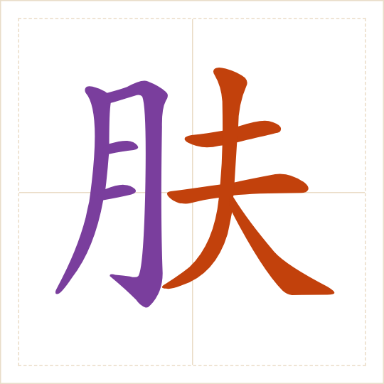 The character 肤 (fū) with each of its parts in a different colour