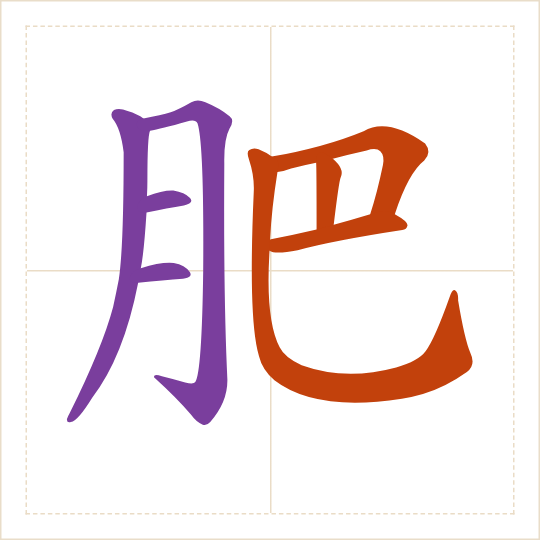 The character 肥 (féi) with each of its parts in a different colour