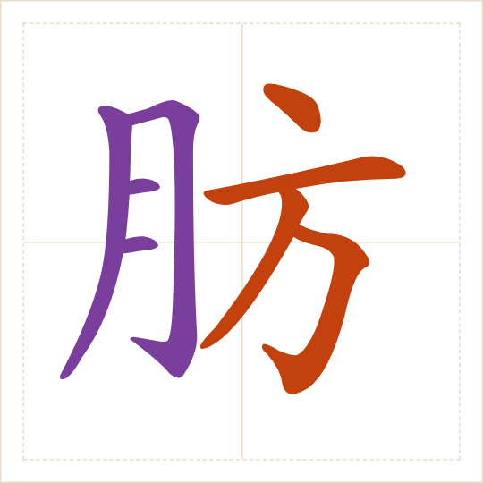The character 肪 (fáng) with each of its parts in a different colour