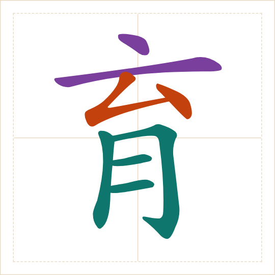 The character 育 (yù) with each of its parts in a different colour