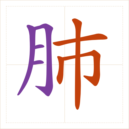 The character 肺 (fèi) with each of its parts in a different colour