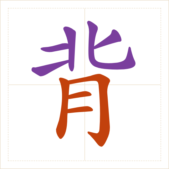 The character 背 (bèi) with each of its parts in a different colour