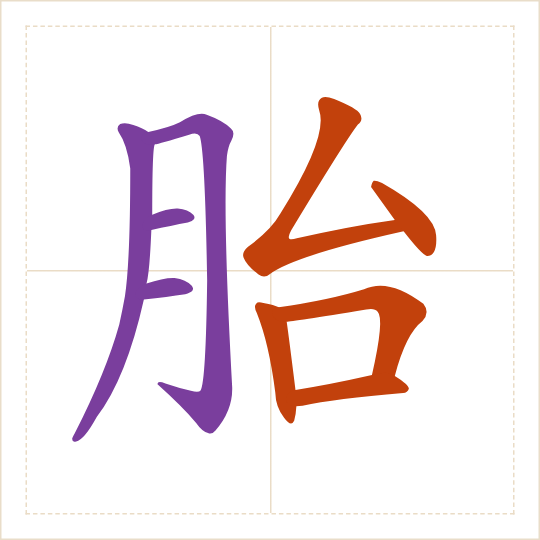 The character 胎 (tāi) with each of its parts in a different colour