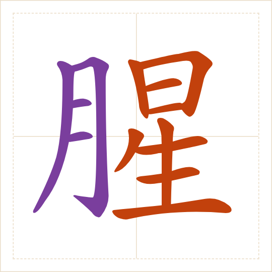 The character 腥 (xīng) with each of its parts in a different colour