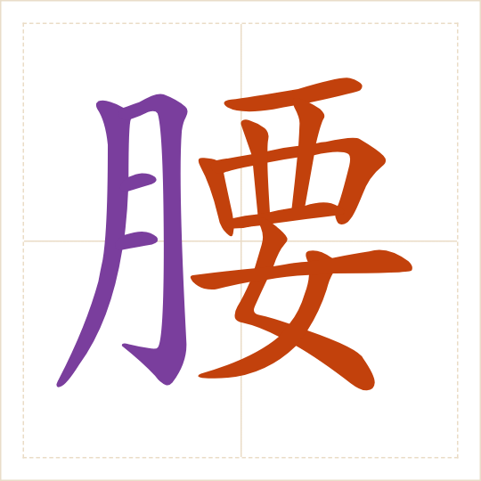 The character 腰 (yāo) with each of its parts in a different colour