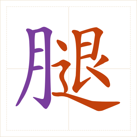 The character 腿 (tuǐ) with each of its parts in a different colour