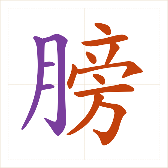The character 膀 (bǎng) with each of its parts in a different colour