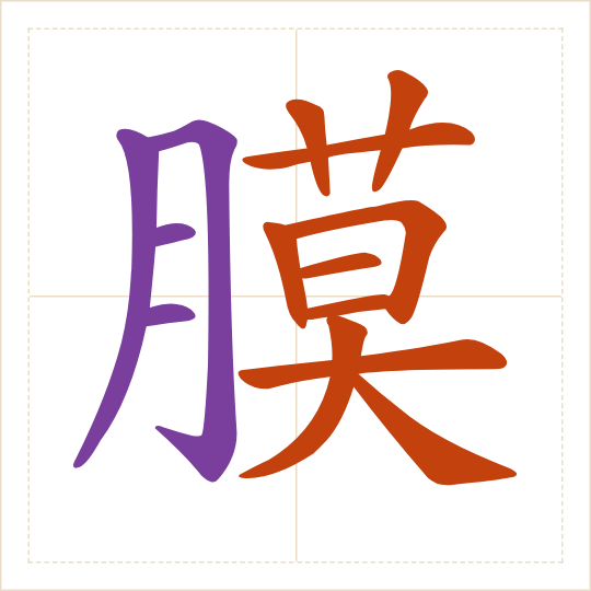 The character 膜 (mó) with each of its parts in a different colour