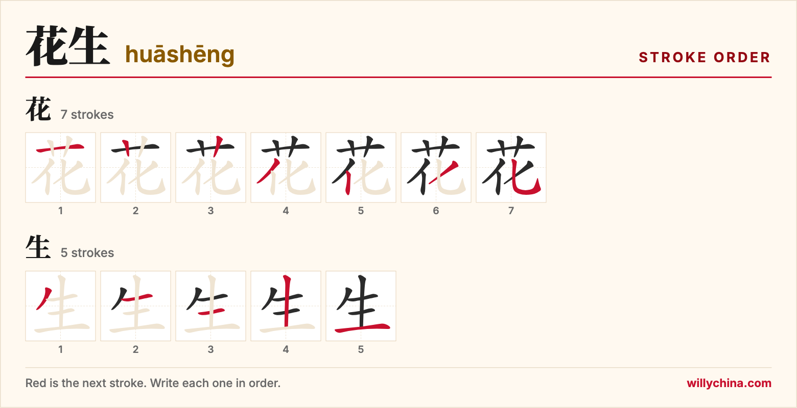 花生 (huāshēng) stroke order chart: each stroke of the characters in the order you write them