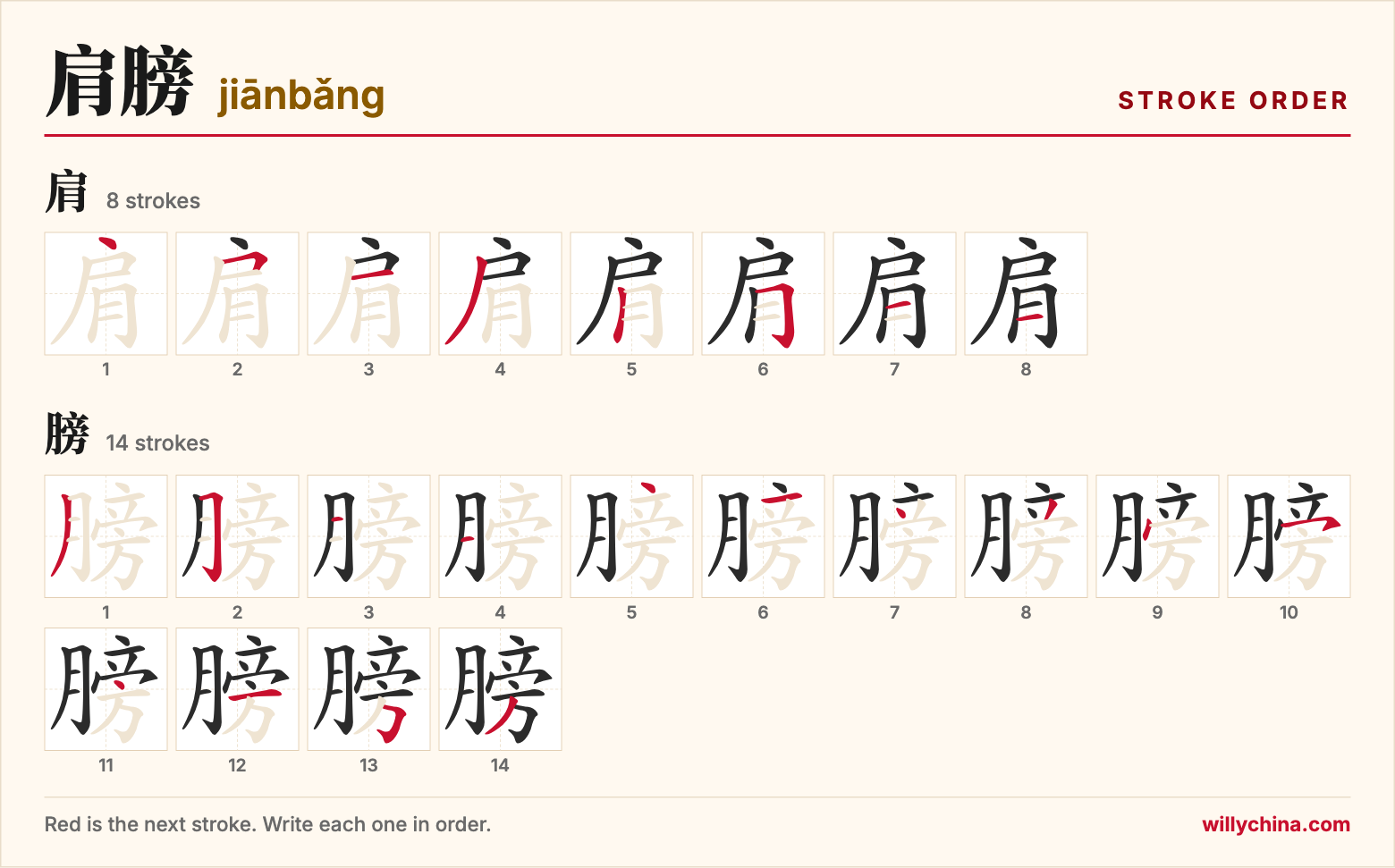 肩膀 (jiānbǎng) stroke order chart: each stroke of the characters in the order you write them