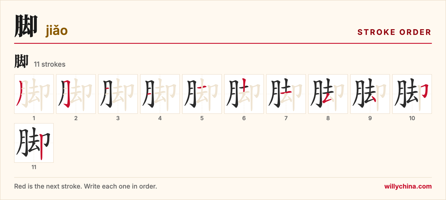 脚 (jiǎo) stroke order chart: each stroke of the character in the order you write it