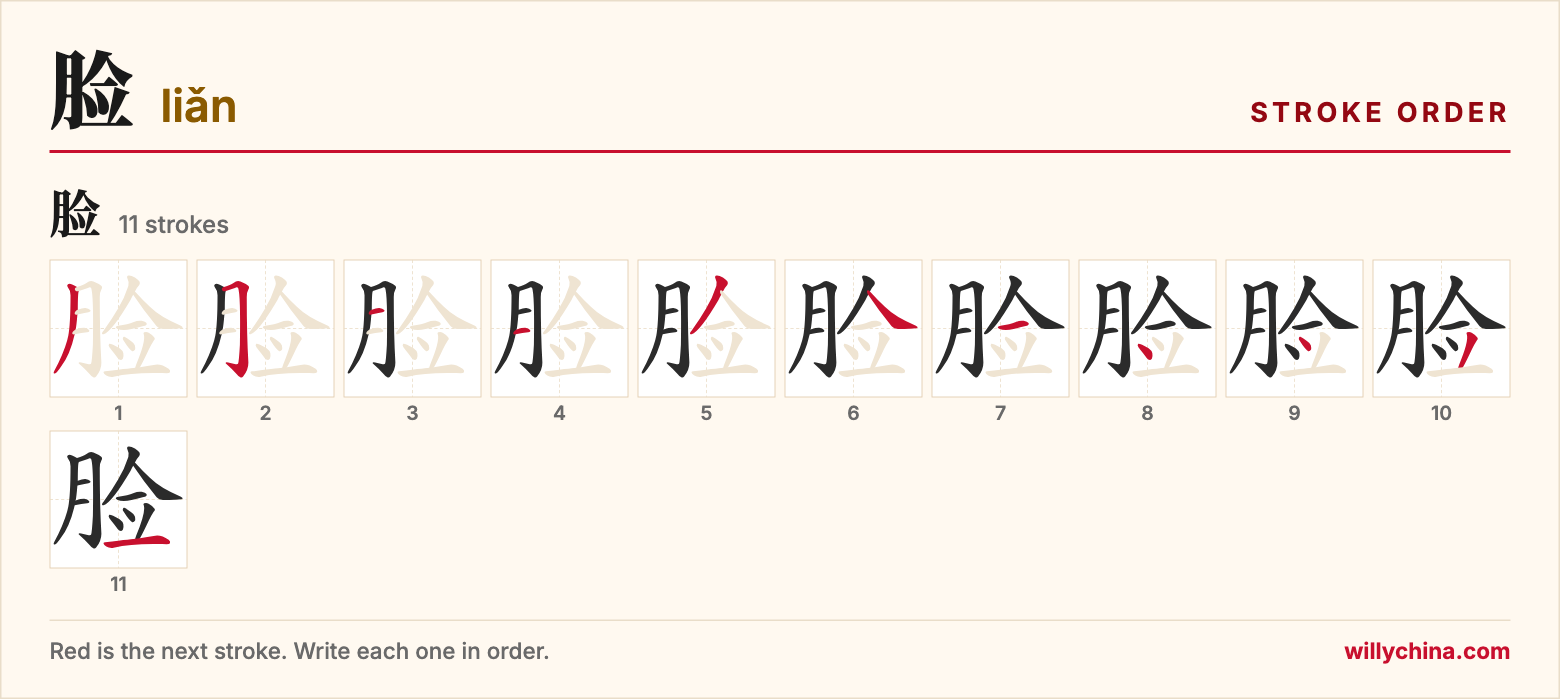 脸 (liǎn) stroke order chart: each stroke of the character in the order you write it