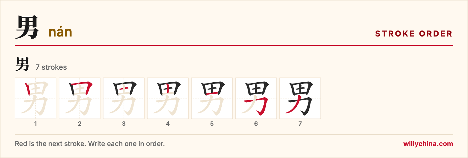 男 (nán) stroke order chart: each stroke of the character in the order you write it