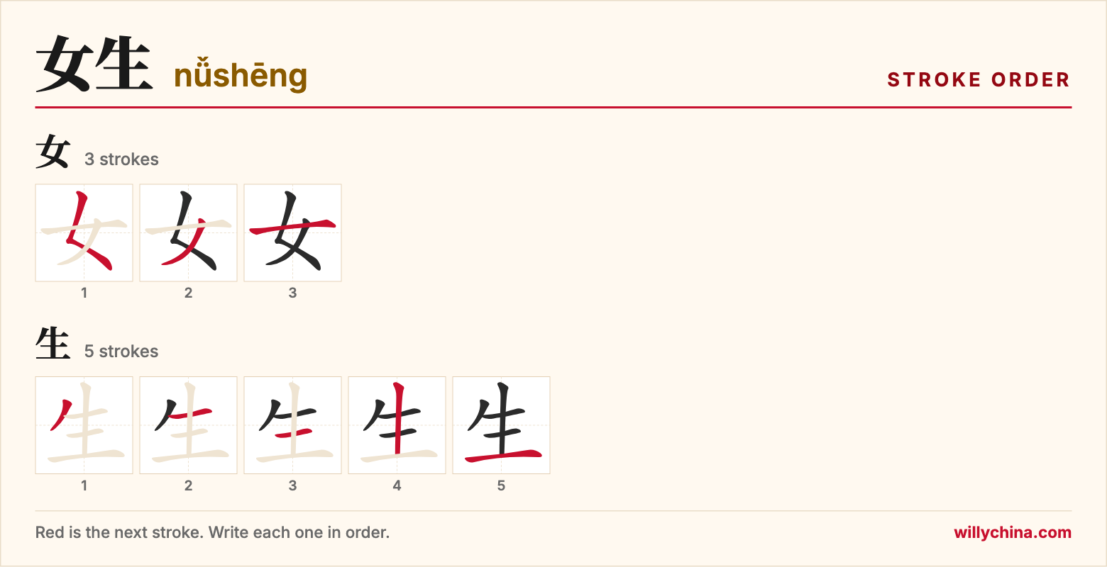 女生 (nǚshēng) stroke order chart: each stroke of the characters in the order you write them