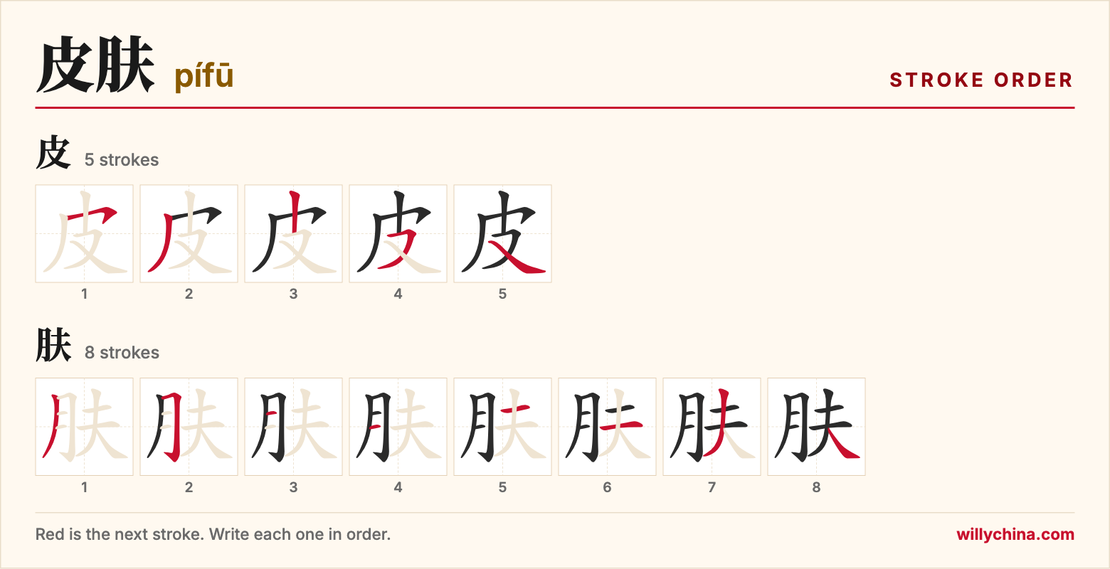 皮肤 (pífū) stroke order chart: each stroke of the characters in the order you write them