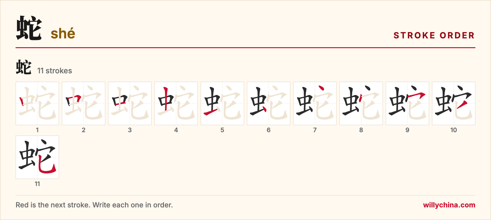 蛇 (shé) stroke order chart: each stroke of the character in the order you write it