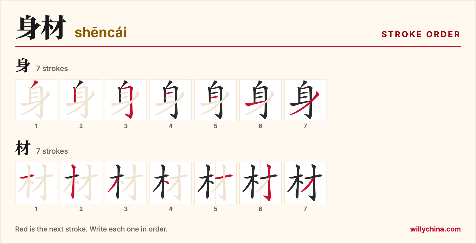 身材 (shēncái) stroke order chart: each stroke of the characters in the order you write them