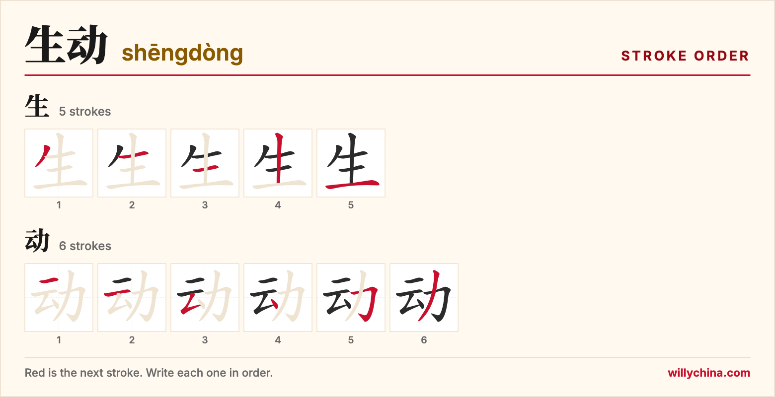 生动 (shēngdòng) stroke order chart: each stroke of the characters in the order you write them