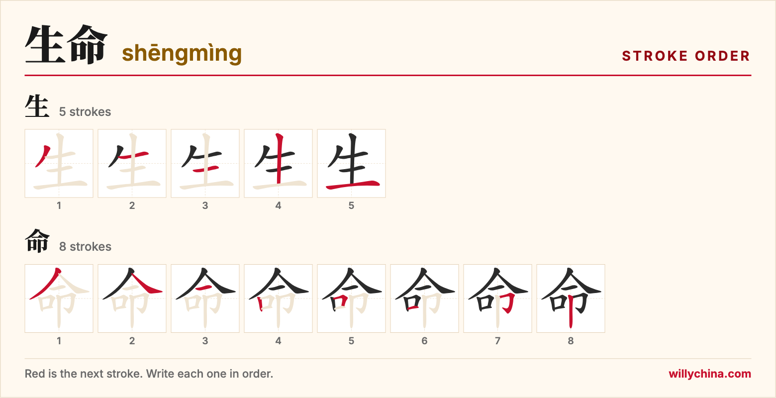 生命 (shēngmìng) stroke order chart: each stroke of the characters in the order you write them