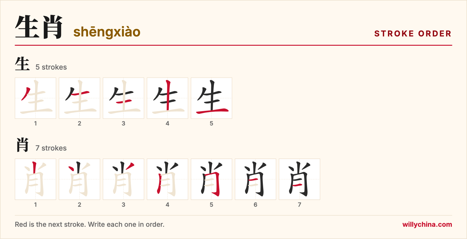 生肖 (shēngxiào) stroke order chart: each stroke of the characters in the order you write them