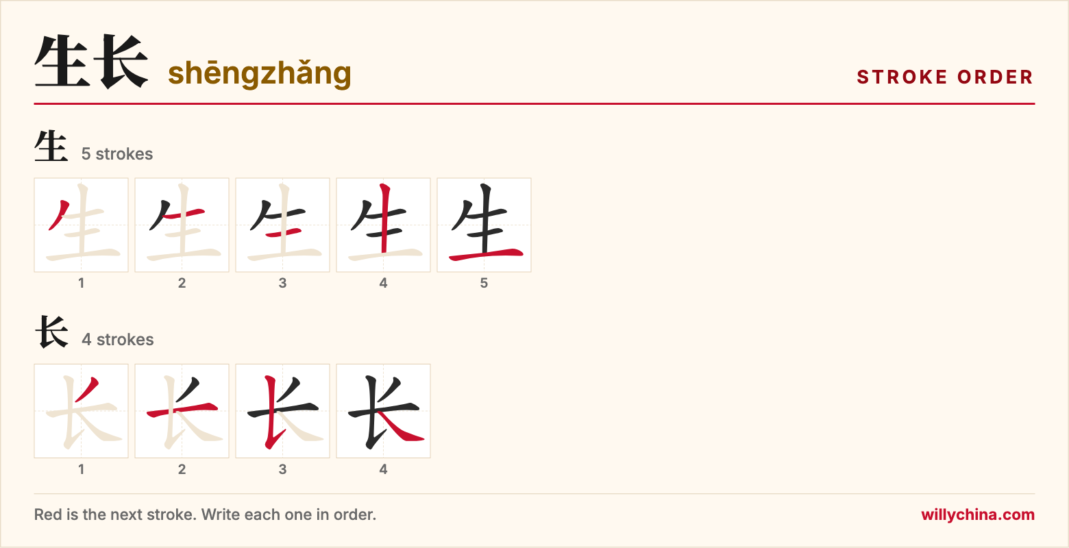 生长 (shēngzhǎng) stroke order chart: each stroke of the characters in the order you write them