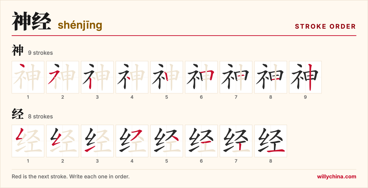 神经 (shénjīng) stroke order chart: each stroke of the characters in the order you write them