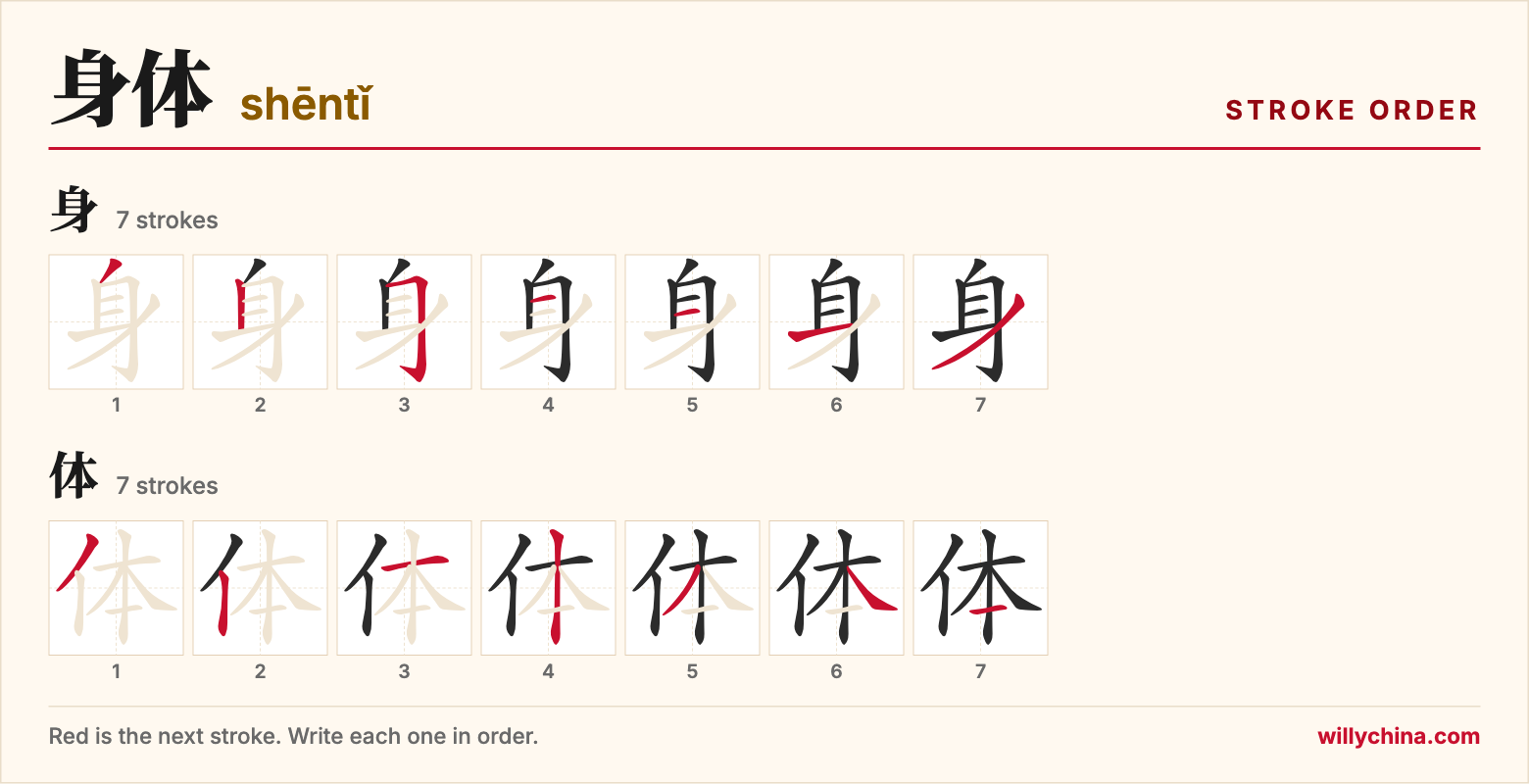 身体 (shēntǐ) stroke order chart: each stroke of the characters in the order you write them