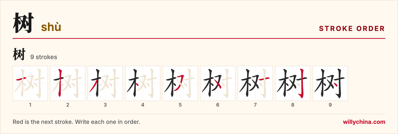 树 (shù) stroke order chart: each stroke of the character in the order you write it