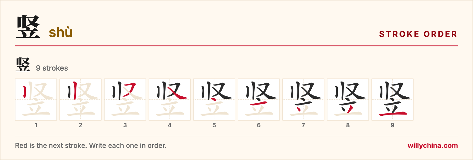 竖 (shù) stroke order chart: each stroke of the character in the order you write it