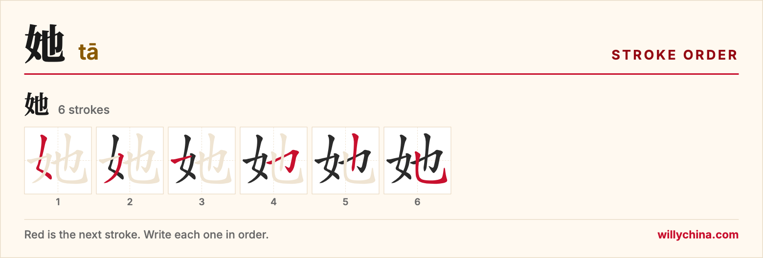 她 (tā) stroke order chart: each stroke of the character in the order you write it