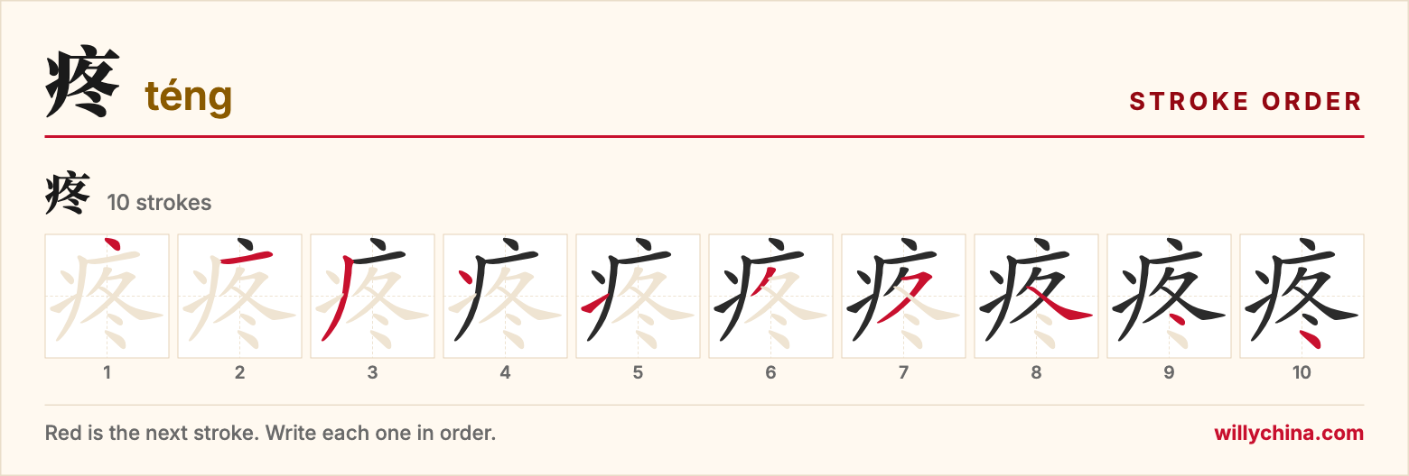 疼 (téng) stroke order chart: each stroke of the character in the order you write it