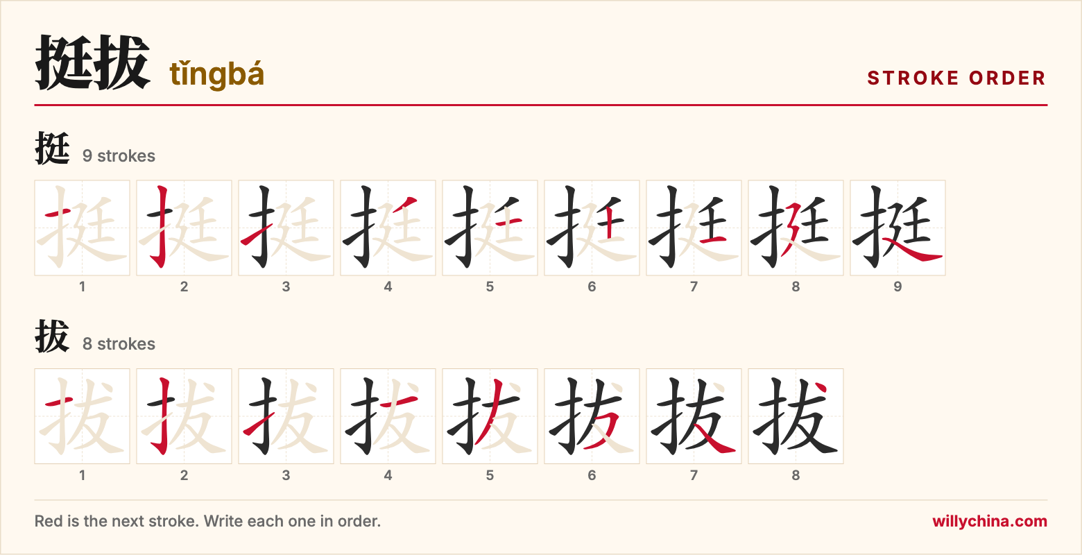 挺拔 (tǐngbá) stroke order chart: each stroke of the characters in the order you write them